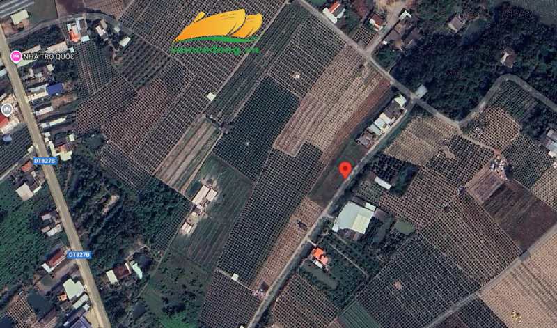 27.389.01 2500m2 đất lúa đường đan nông thôn Phước Tân Hưng